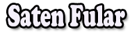 Saten Fular Logo